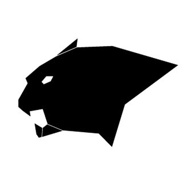 Airsoft Panthers Graz